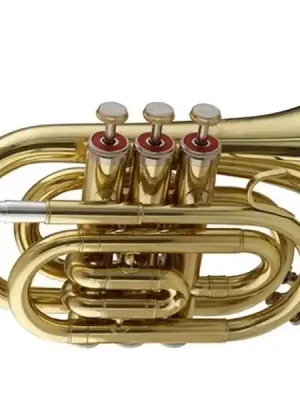 SWING TT-201 B-Taschentrompete lackiert, Bohr.11,70 mm, Etui u. Zubehör - Expresslieferung